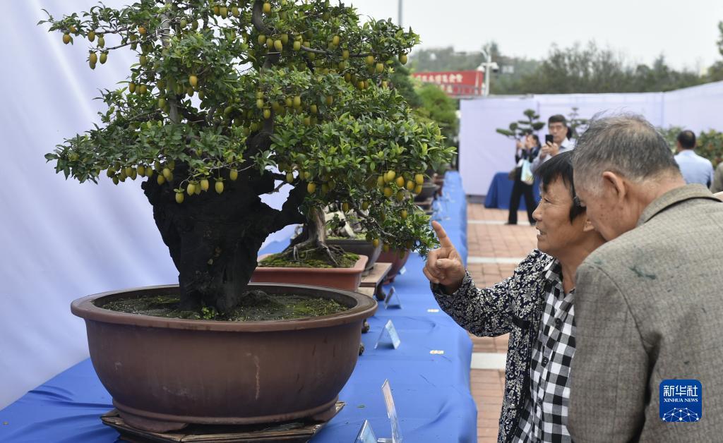 澳门单张牌规则